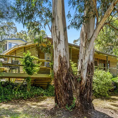 Lorne Groovy Ocean View Log House: Pet-Friendly Retreat with Wildlife Villa Exterior photo