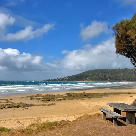 Lorne Groovy Ocean View Log House: Pet-Friendly Retreat with Wildlife Villa Exterior photo