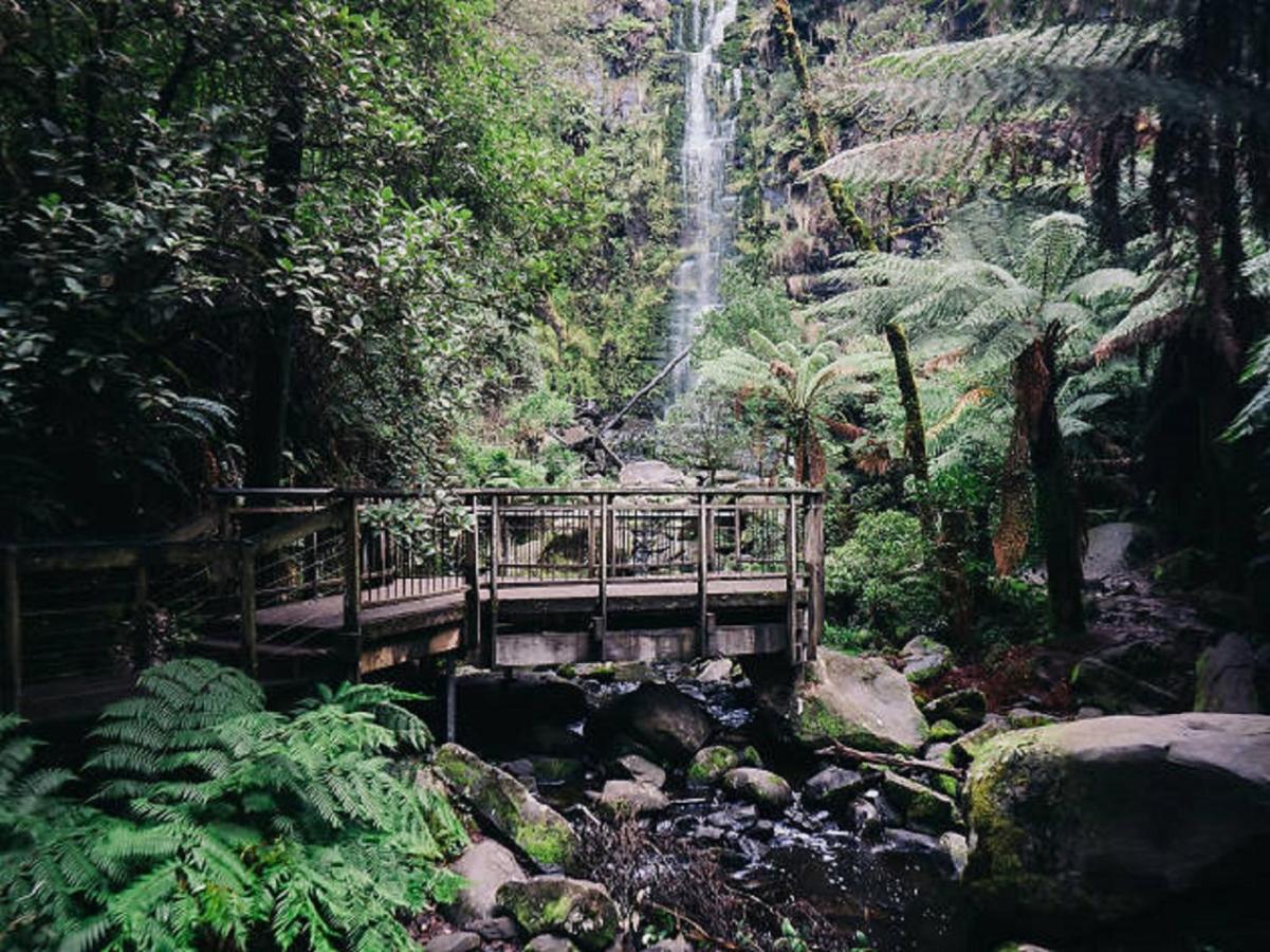 Holiday home Groovy Ocean View Log House: Pet-friendly Retreat With Wildlife Lorne