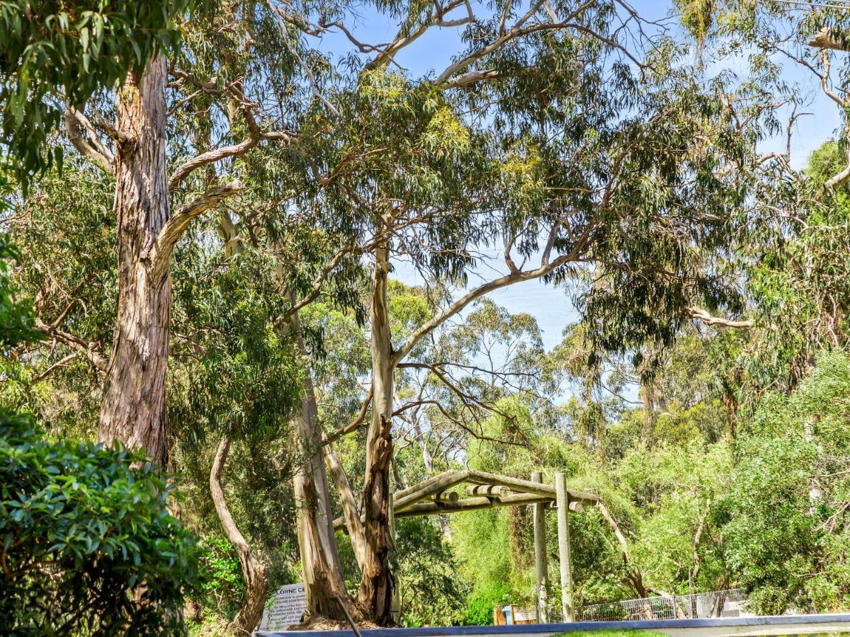 Groovy Ocean View Log House: Pet-friendly Retreat With Wildlife Lorne