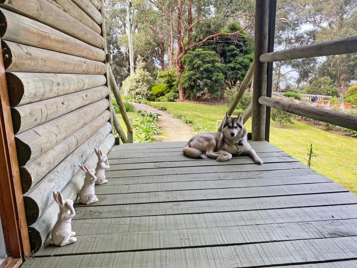 Holiday home Groovy Ocean View Log House: Pet-friendly Retreat With Wildlife Lorne