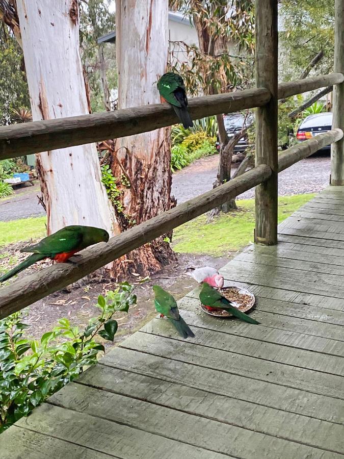 Groovy Ocean View Log House: Pet-friendly Retreat With Wildlife Holiday home Lorne