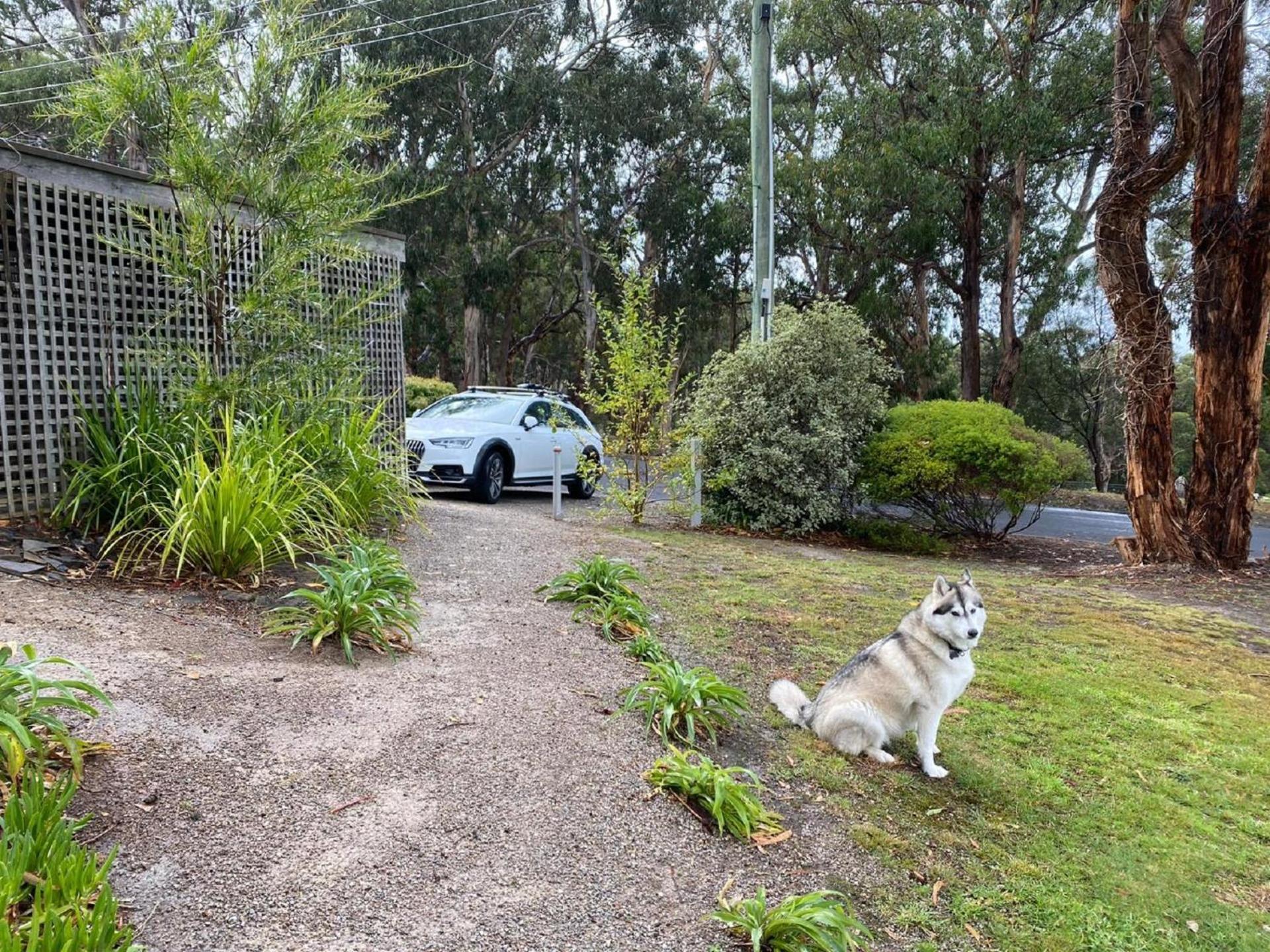 Holiday home Groovy Ocean View Log House: Pet-friendly Retreat With Wildlife