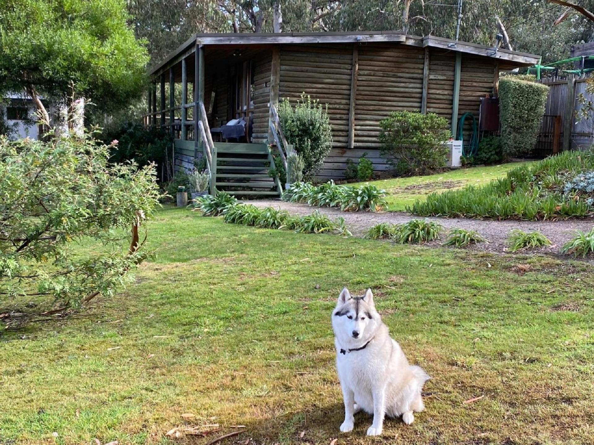 Groovy Ocean View Log House: Pet-friendly Retreat With Wildlife Holiday home *